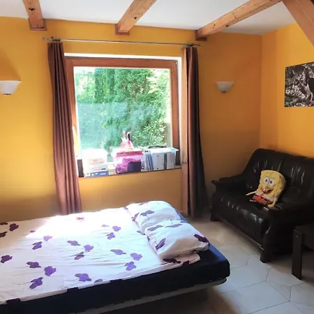 Kis Haz Az Erdo Mellett - Little House Next To The Forest Apartment Balatonakarattya
