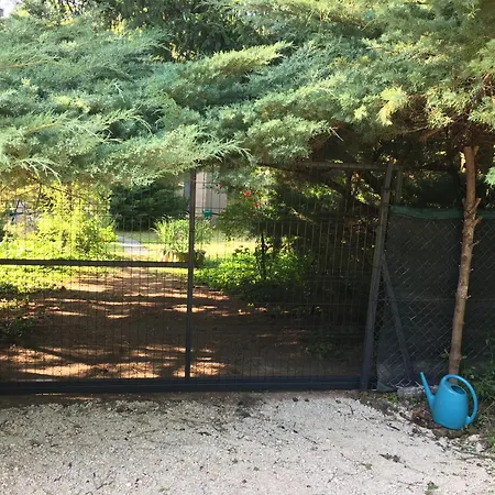 Kis Haz Az Erdo Mellett - Little House Next To The Forest