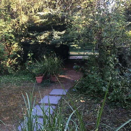 Apartament Kis Haz Az Erdo Mellett - Little House Next To The Forest