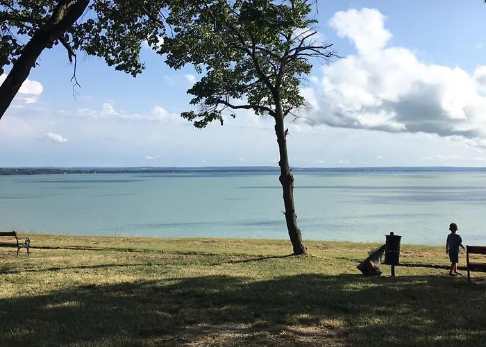 Kis Haz Az Erdo Mellett - Little House Next To The Forest