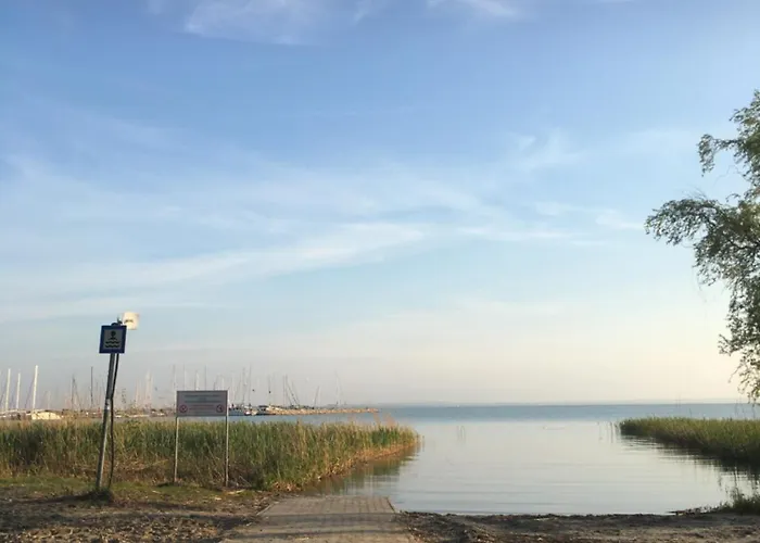 Kis Haz Az Erdo Mellett - Little House Next To The Forest *