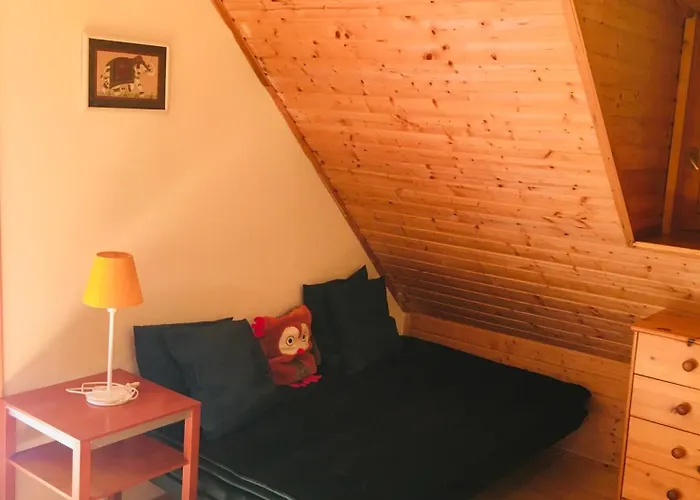 Kis Haz Az Erdo Mellett - Little House Next To The Forest